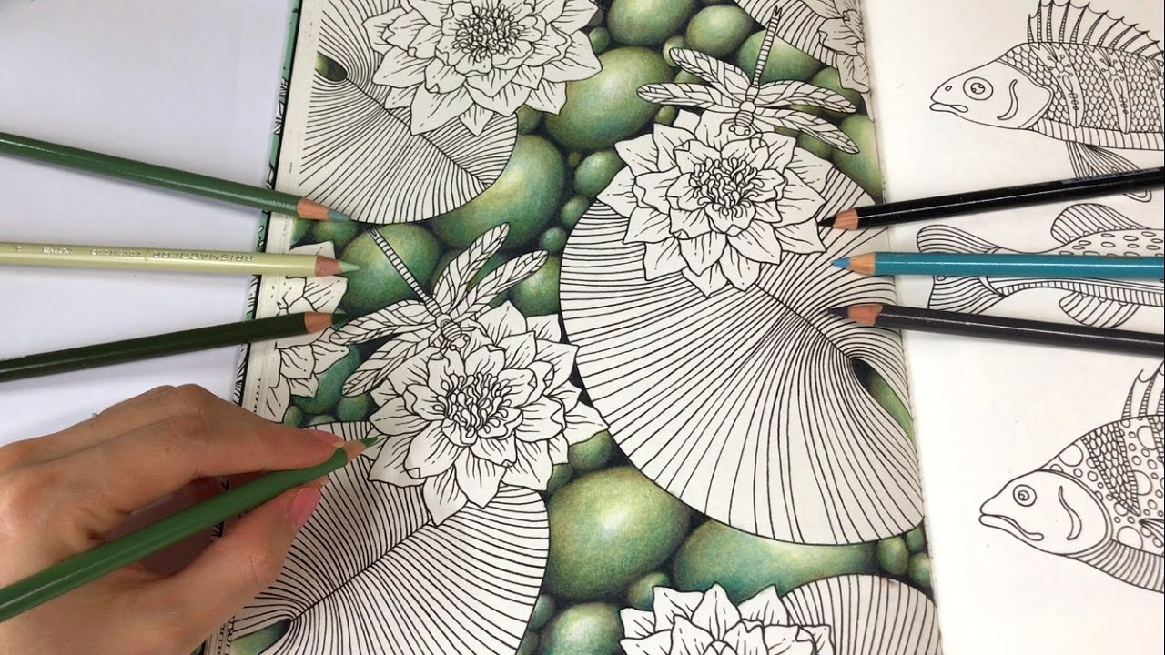 PEBBLE STONES DRAWING | Water Lilies - Part 1 | Daydreams Coloring Book