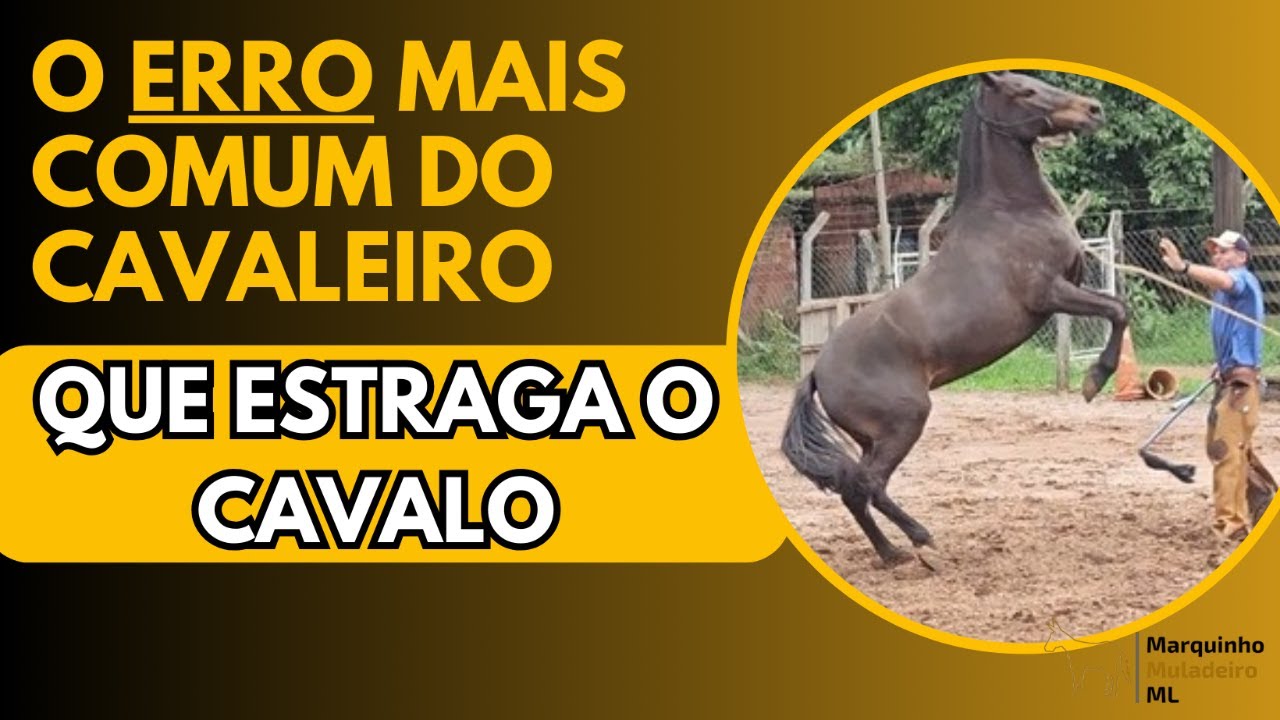 Erro que o cavaleiro estraga o cavlo bom