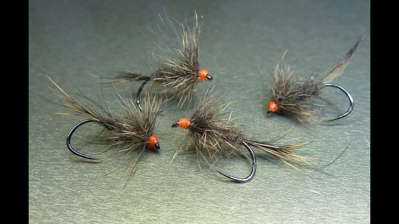 ORL tag orange ( oreille de lièvre )
