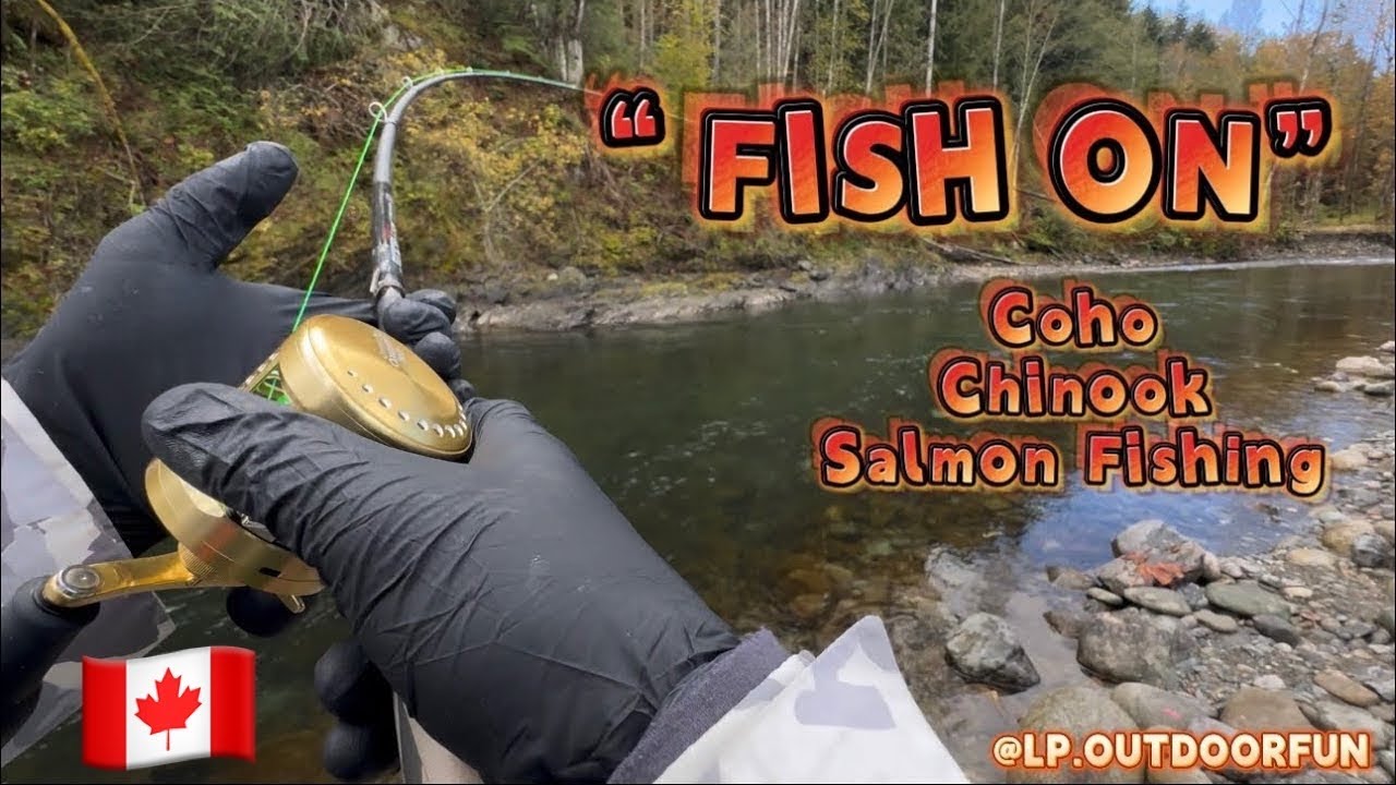 So Many Fish On! | Coho & Chinook Salmon Fishing | BC Canada | 2024