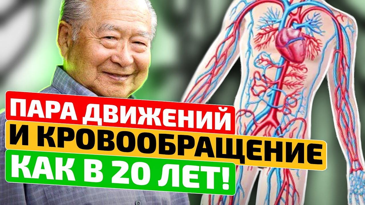 Доктор Куте: вот как мы в Японии за 5 минут разгоняем кровь по всему телу