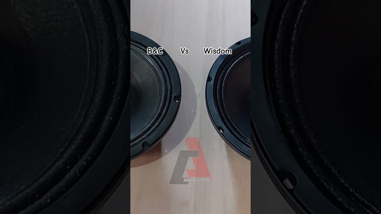 SPEAKER 10 inch B&C VS WISDOM ‼️ BALAP YANG MANA ❓️