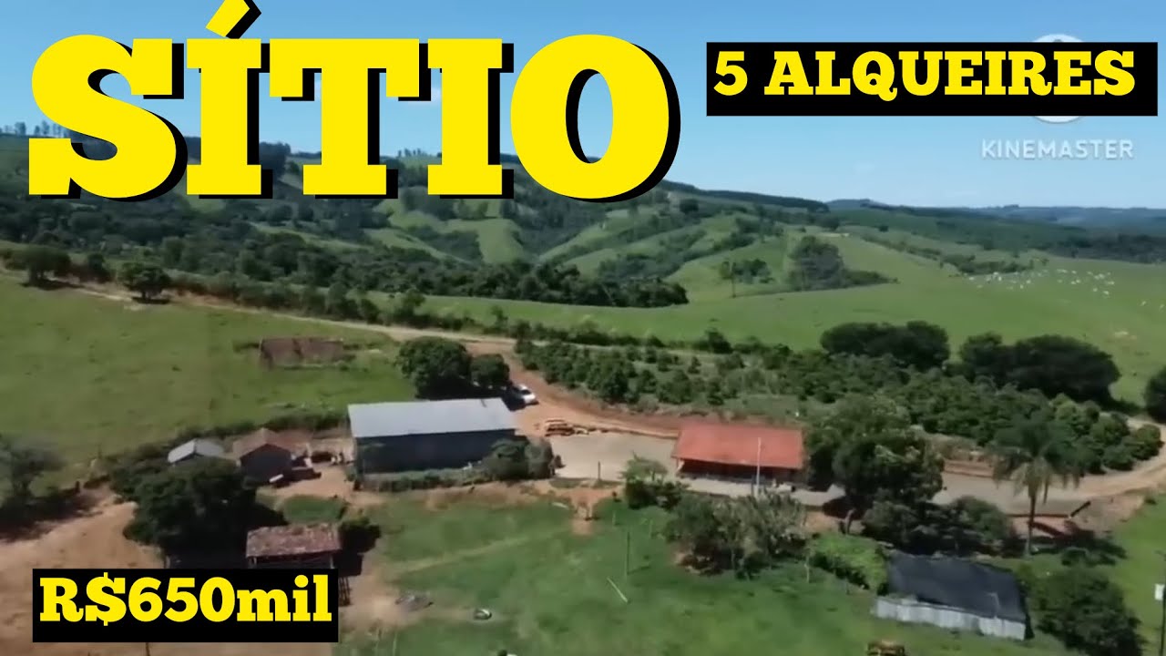 SÍTIO 5 ALQUEIRES PARA GADO E PLANTIO COM ÁGUA E RIACHO R$650mil