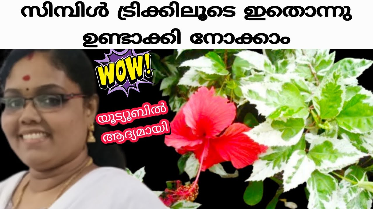 യൂട്യൂബിൽ ആദ്യമായി/paper craft/g crafts and g world