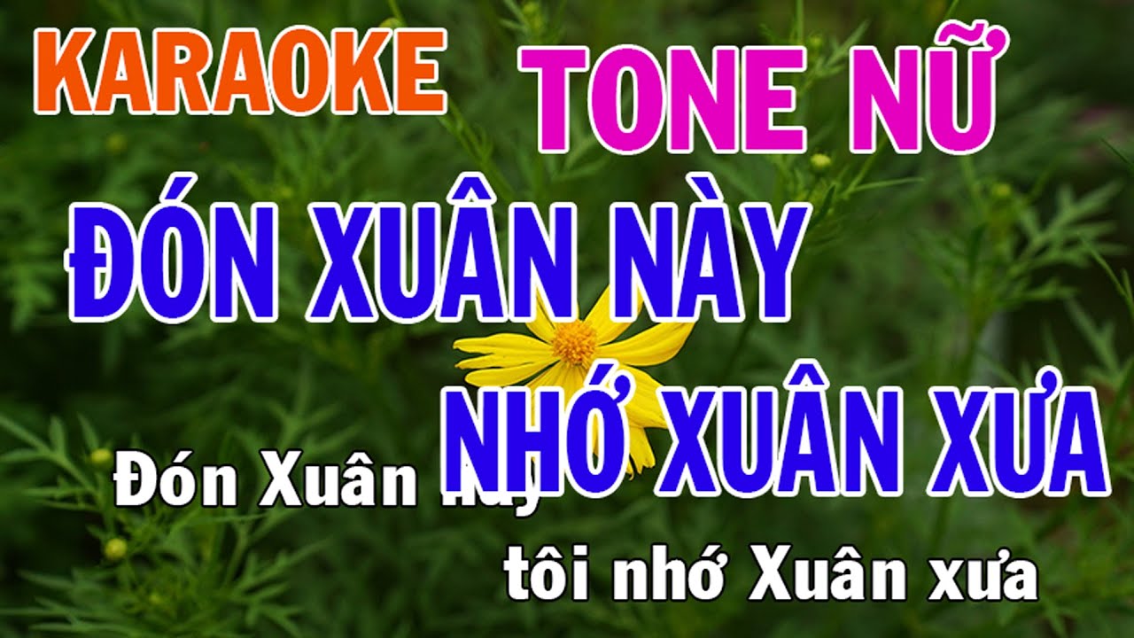 Đón Xuân Này Nhớ Xuân Xưa Karaoke Tone Nữ Nhạc Sống - Phối Mới Dễ Hát - Nhật Nguyễn