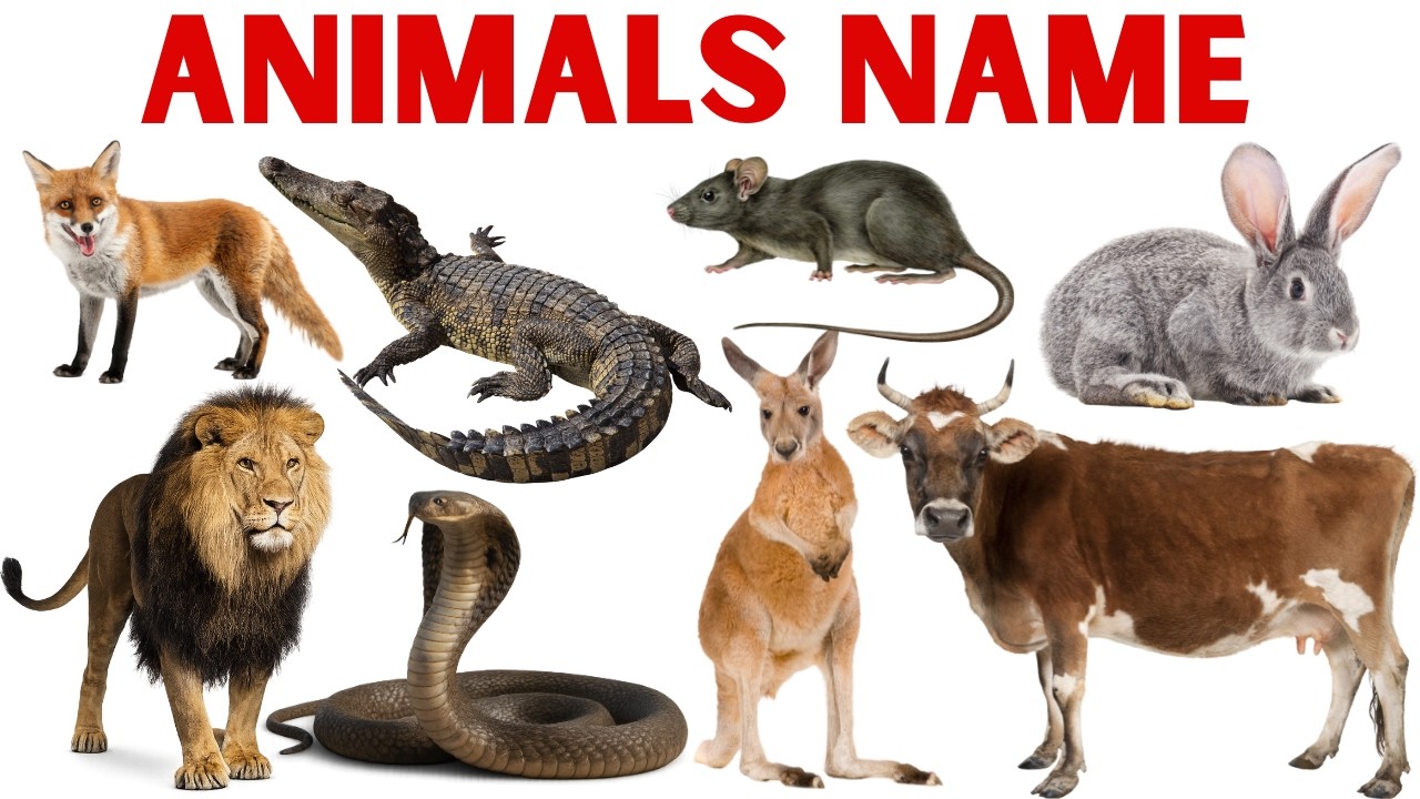 पहचानो ये कौन सा जानवर है? 🐾 | 5 सेकंड क्विज गेम | Kids Animal Quiz Hindi