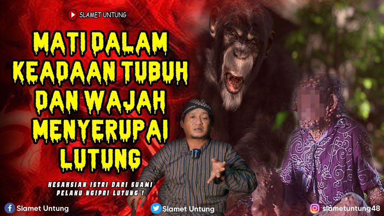 KISAH SERAM MENGERIKAN ❗❗ DEMI MENJADI ORANG KAYA RAYA SUAMIKU NGIPRI LUTUNG ❗❗ PODCAST HOROR