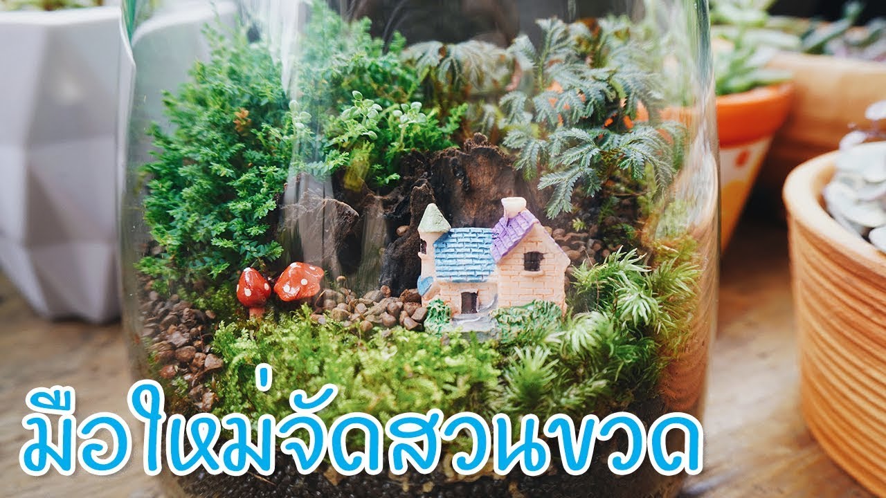 จัดสวนขวด สำหรับมือใหม่ #Terrarium #สวนขวด
