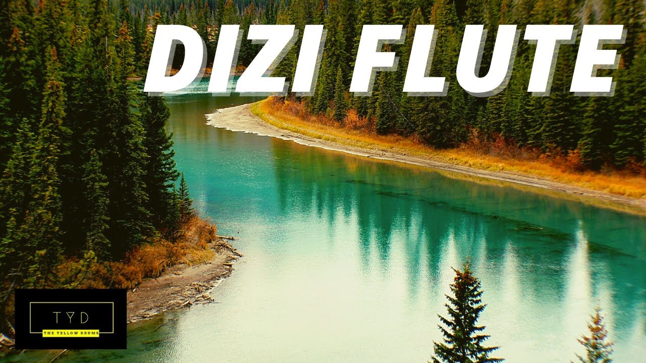 (DIZI) 1 HOUR of Best Relaxing Music | Bamboo Flute | Meditate | Sleep Music | River Movement [音乐教育]