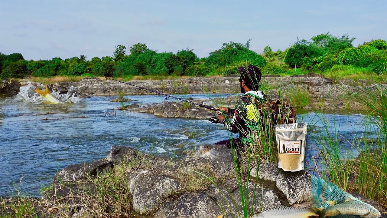 Mahseer Bait & Tackle - A Unique Approach - Ansari fishing Bait - Mahseer fishing