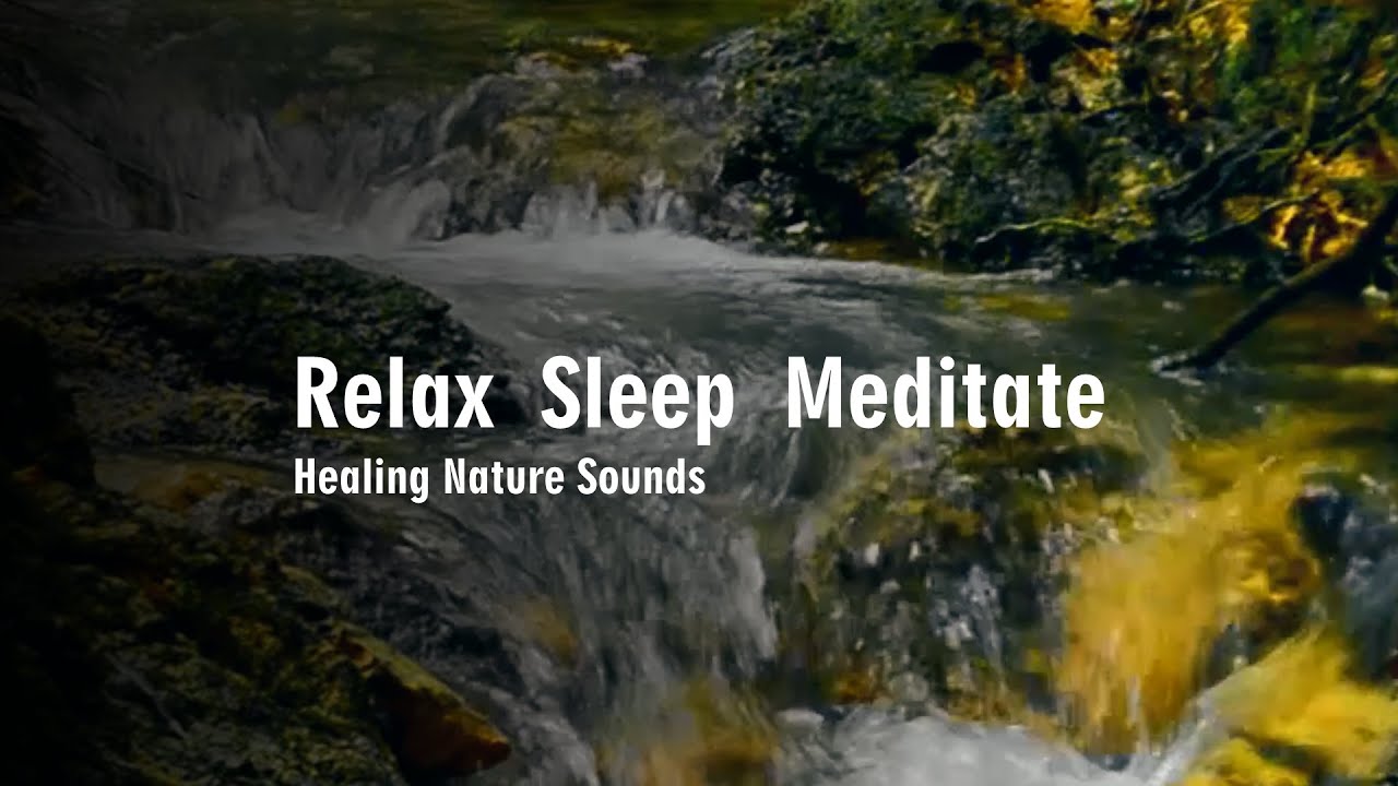 Relaxing Water Sounds with Birdsong | Nature Sounds for Sleep, Study & Meditation