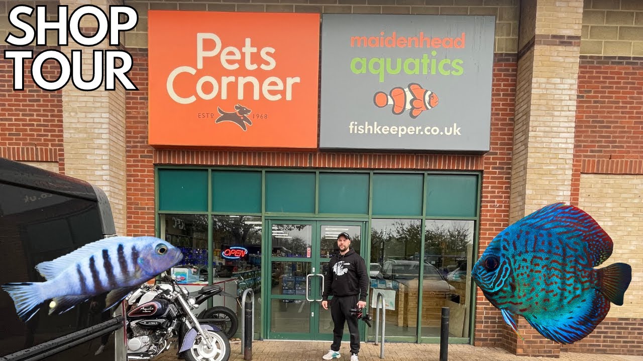 I VISIT MAIDENHEAD AQUATICS GOSPORT