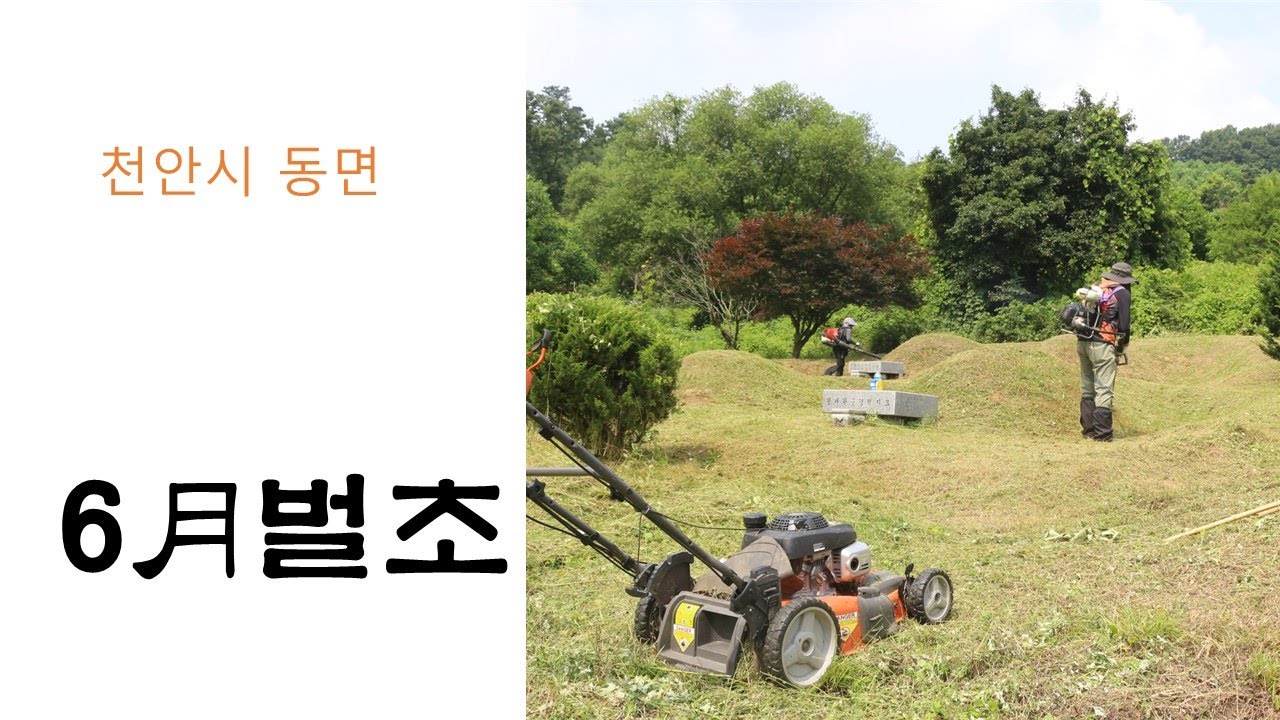 천안시 남동구 동면 장송리 벌초(2021년 06월)