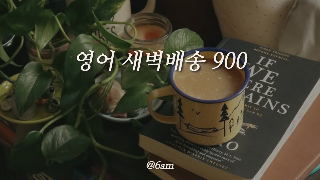 💛 영어 새벽배송 900문장 역순 복습