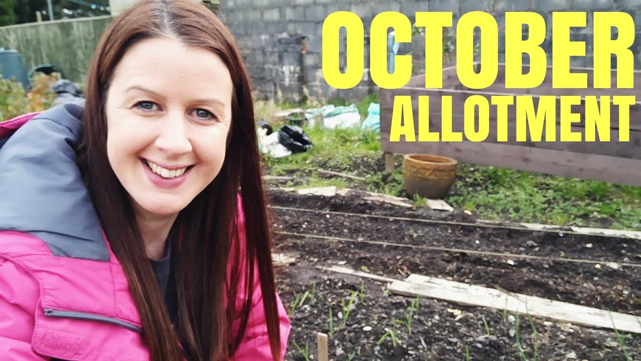 Allotment Garden In October  (Full Plot Tour)
