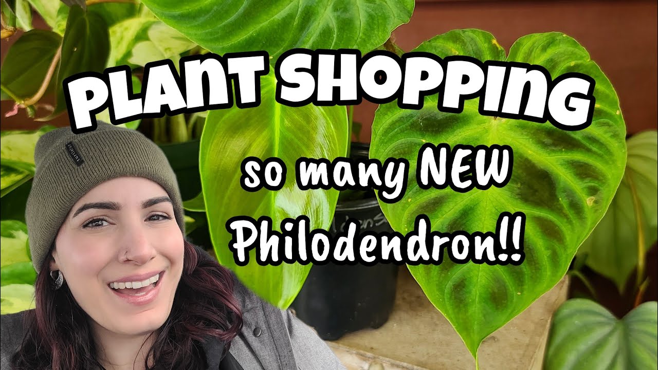 PLANT SHOPPING!! 🌿 25% Off Sale at Paul's & Sandy's!! ☺️ so many NEW Philodendron 🩷