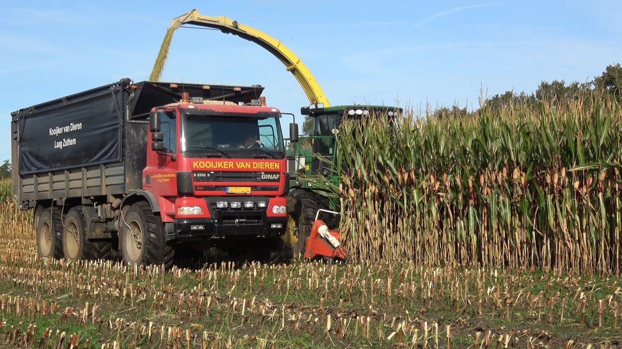Mais hakselen met John Deere 7450 en 2 Ginaf X 3335 S vrachtwagens door Kooijker van Dieren (2021)