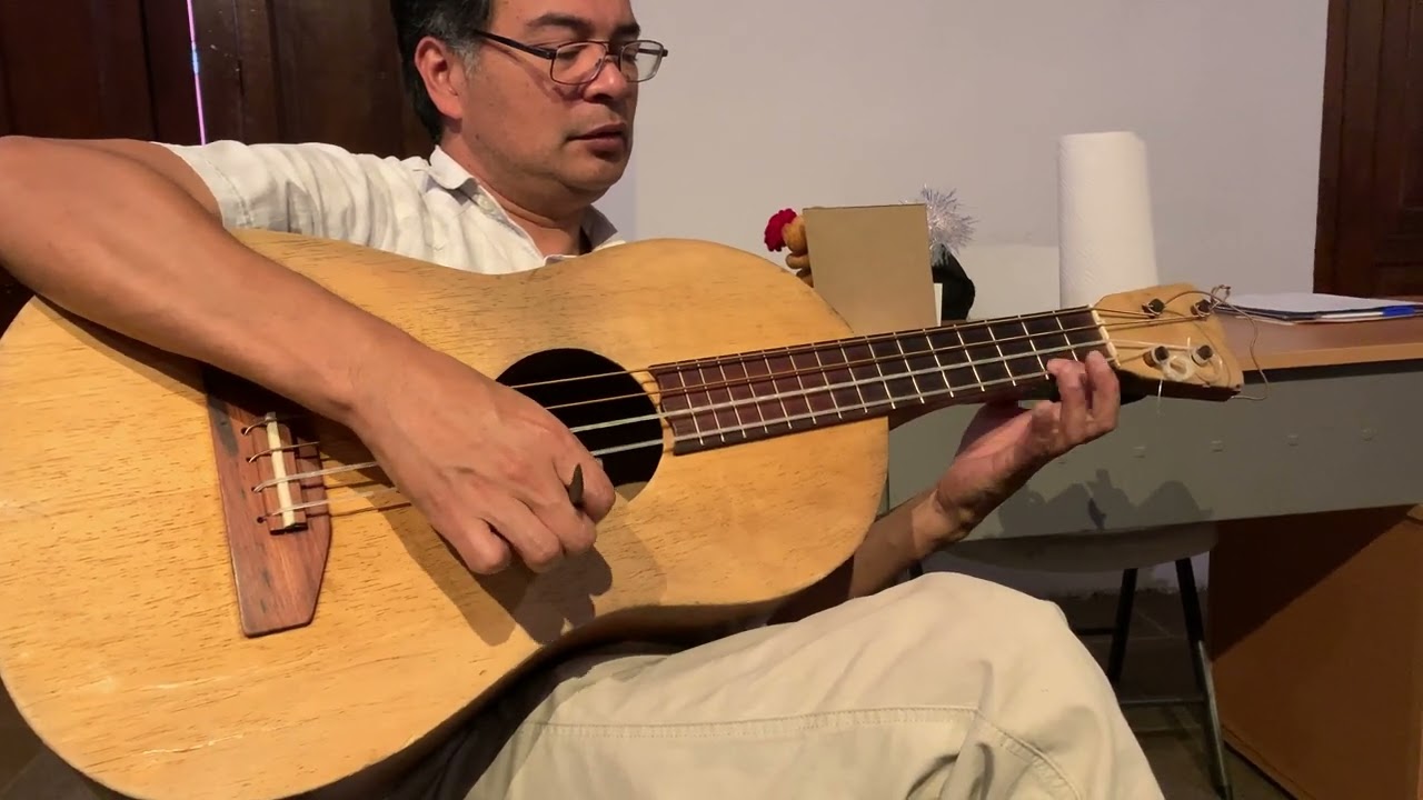 Tocando Bach en la leona (instrumento jarocho)