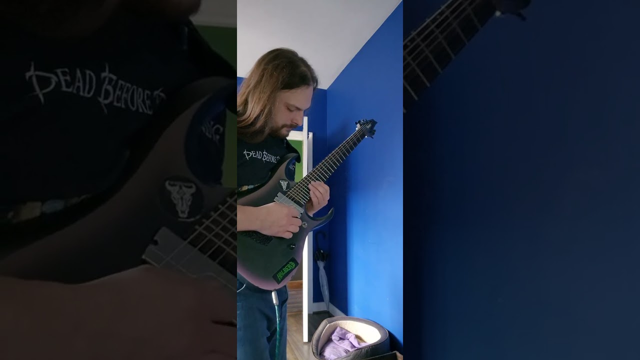 This is my cover of Jason Richardson's 'The Arena' in D standard.