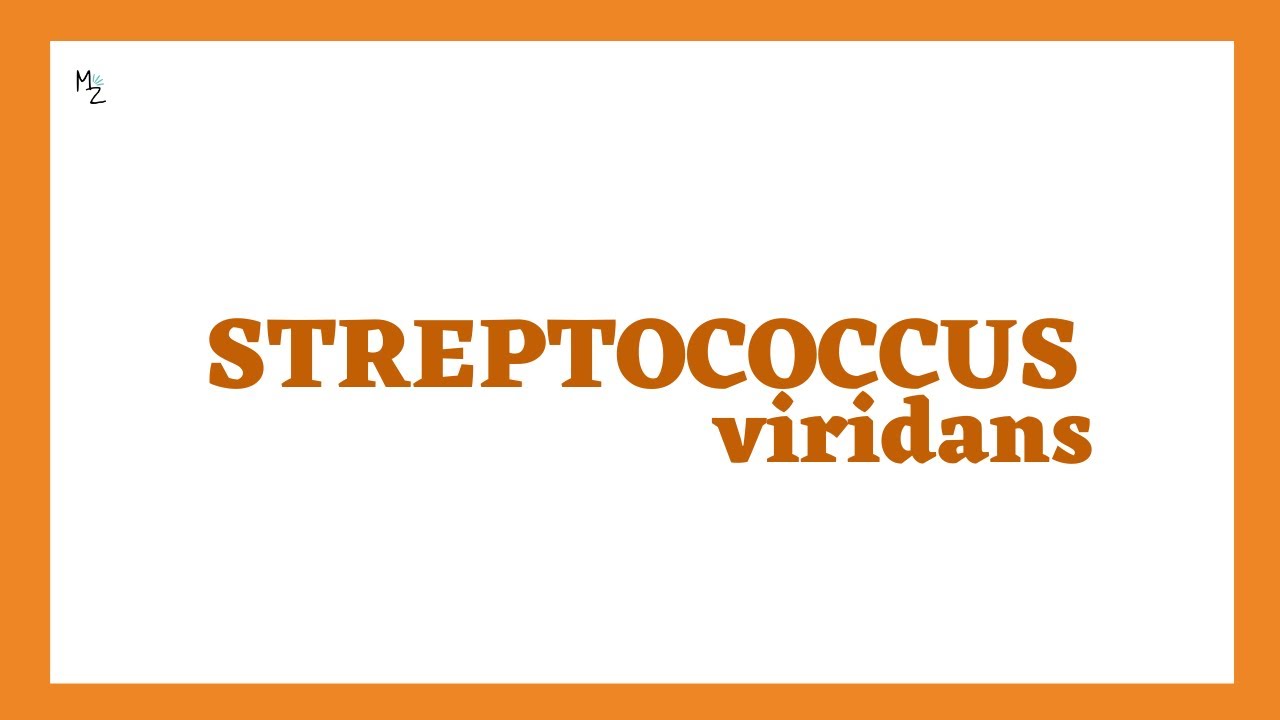 Viridans Streptococci (S. sanguinis, S. mitis, S. mutans, S. anginosus, S. salivarius)