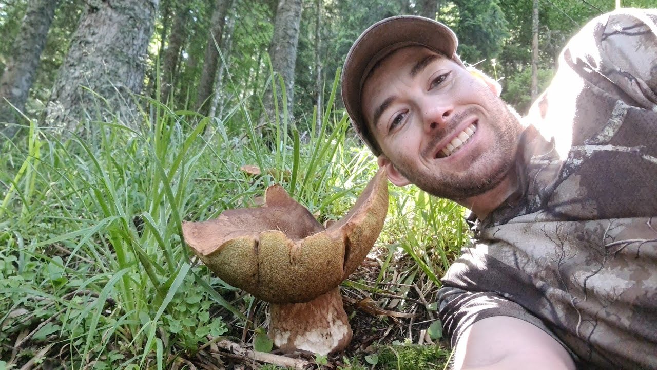 21 juillet Prospection en montagne sous les orages je ramasse un cèpe XXL d'1kilo100