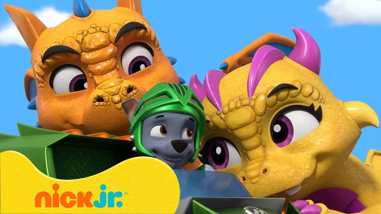 Paw Patrol - La Squadra dei Cuccioli | I migliori salvataggi di animali da compagnia! | Nick Jr.