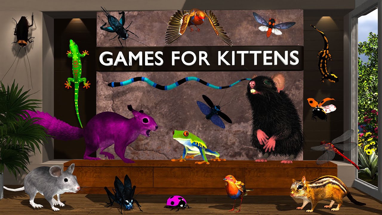 CAT GAMES |3D Game for Cats to Watch – Ultimate CAT TV with Birds, Mice & More! 😻 4K60FPS