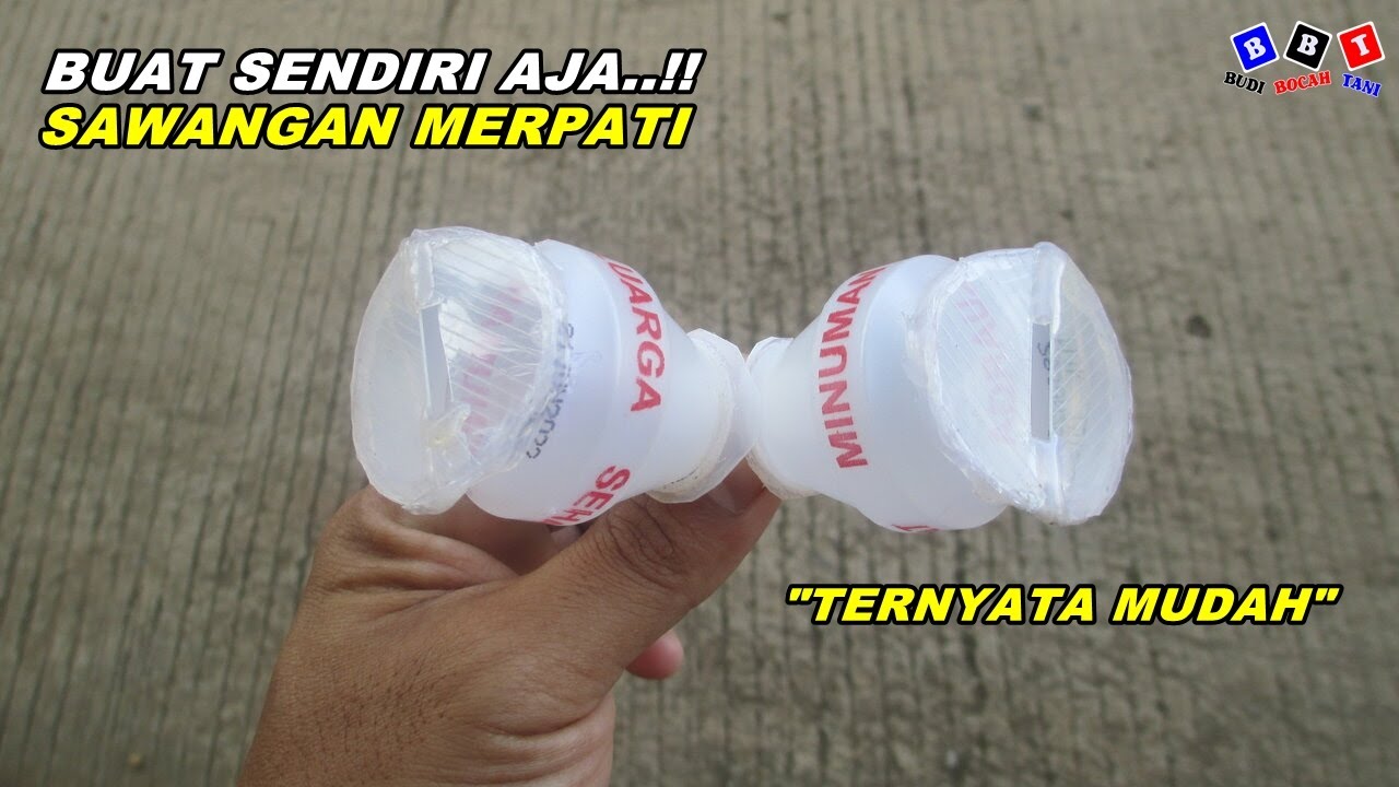 Buat Sawangan Burung Merpati Sendiri