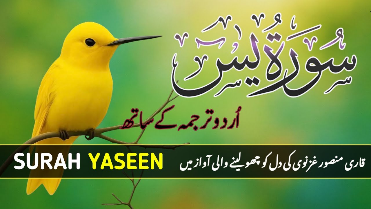 Surah Yaseen with Urdu Translation | Heart Touching Recitation by Qari Mansoor Ghaznavi | Ep013