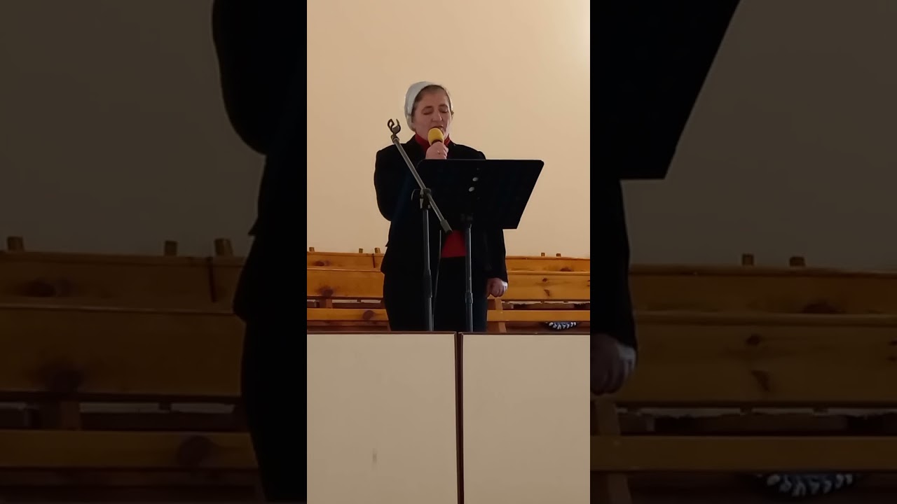 Когда в пути душа утомляетя. С. Рая Древова 