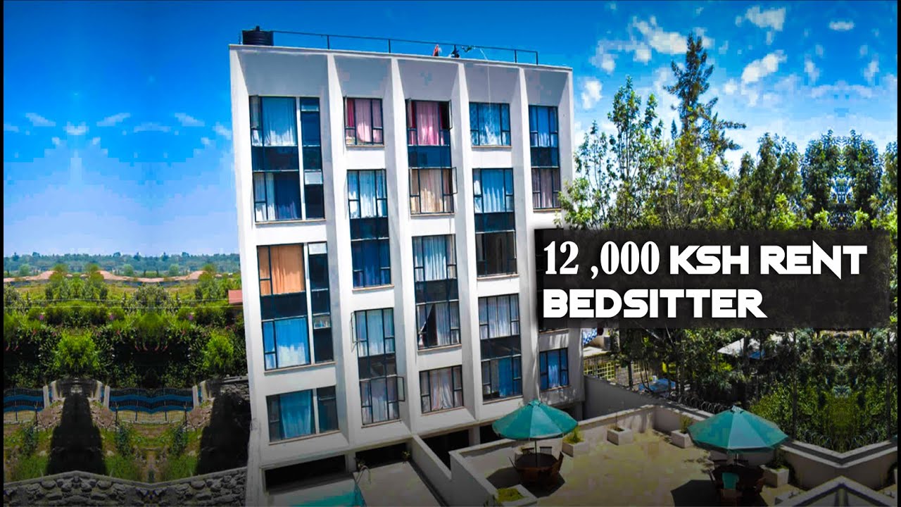 WHY YOU SHOULD RENT THIS  BEDSITTER IN THINDIGUA /TSAVO LIFESTYLE/ CORAL BELLS