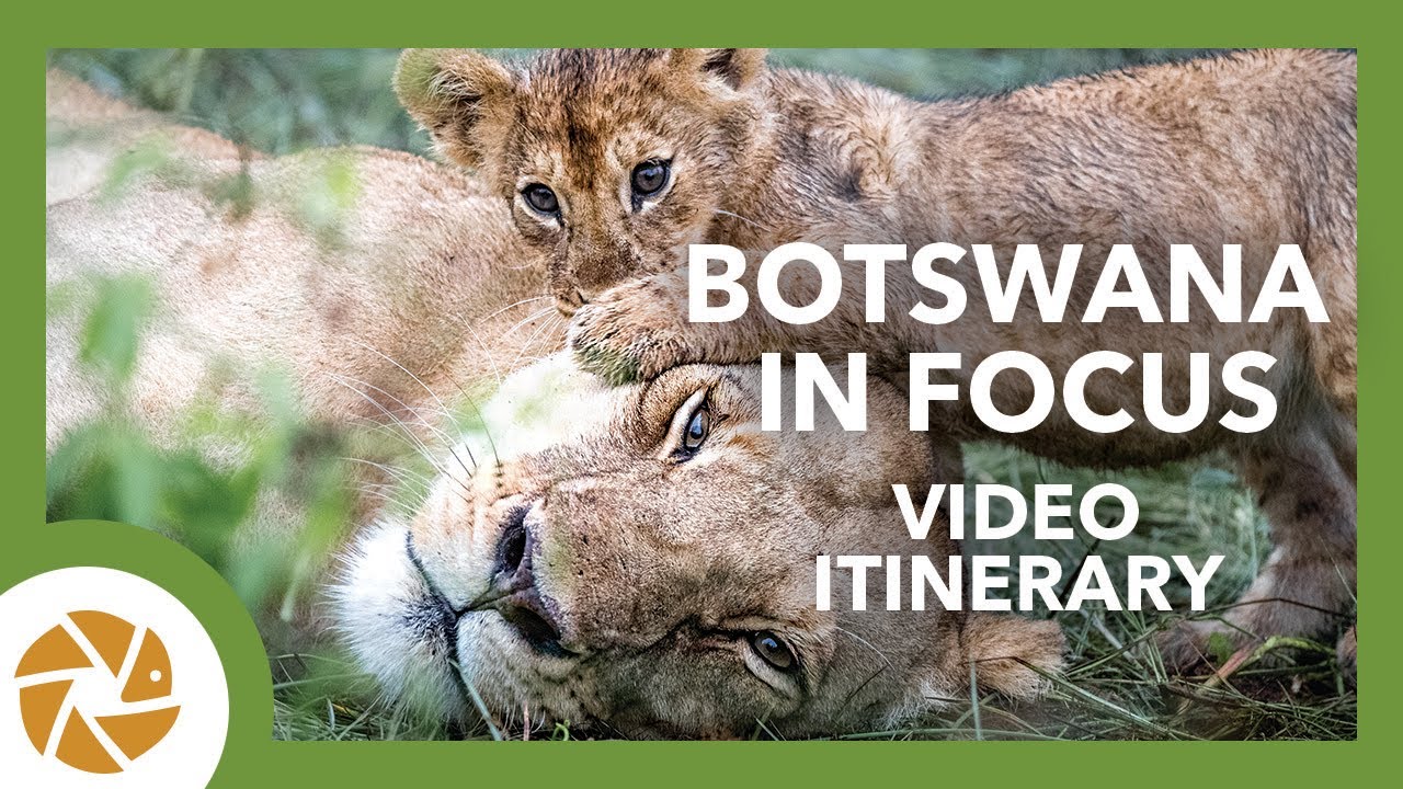 BOTSWANA IN FOCUS 2020