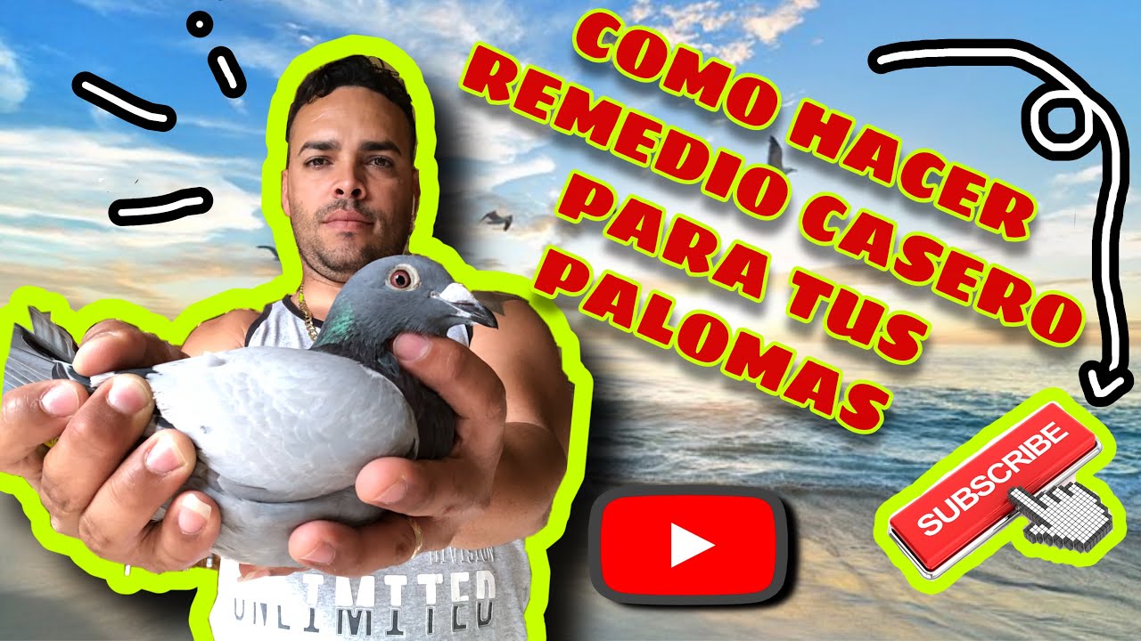 COMO HACER REMEDIO CASERO PARA PALOMAS#1MEDICINA NATURAL AJO,CEBOLLA,VINAGRE Y OTROS