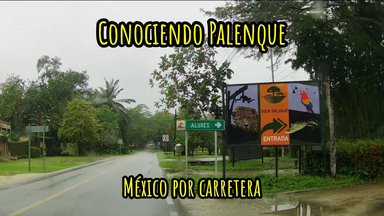 Conociendo Palenque | México por carretera | T3E4