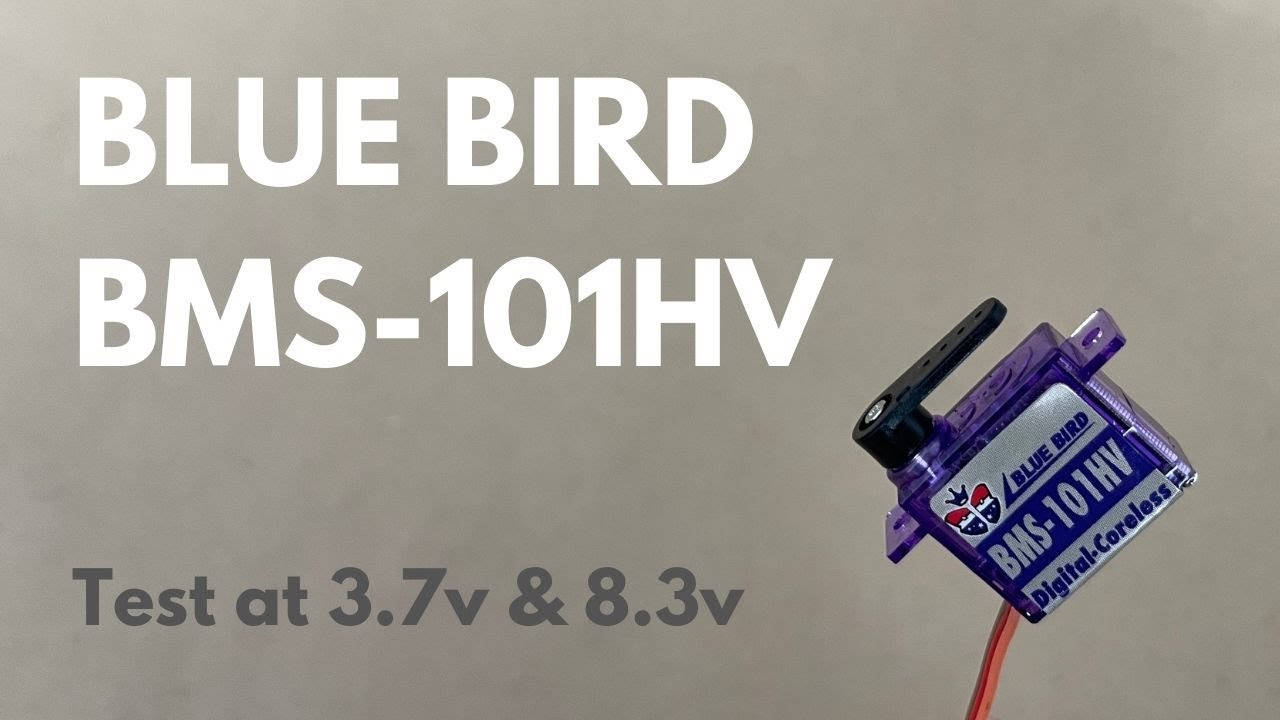 Blue Bird BMS-101HV - The Best DLG Servo?