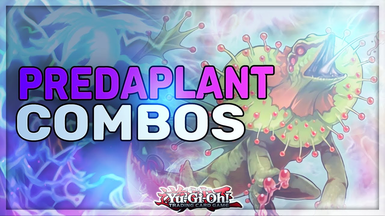 2 CARD OTK IN 4 SUMMONS + 5 INTERRUPTIONS Predaplant Combos ft. NEW INSANE SUPPORT !