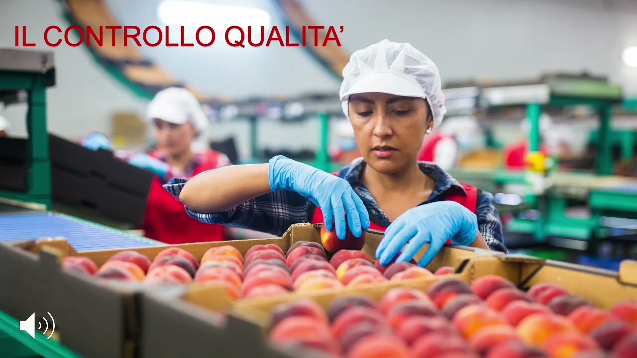 Il Controllo Qualit&agrave;