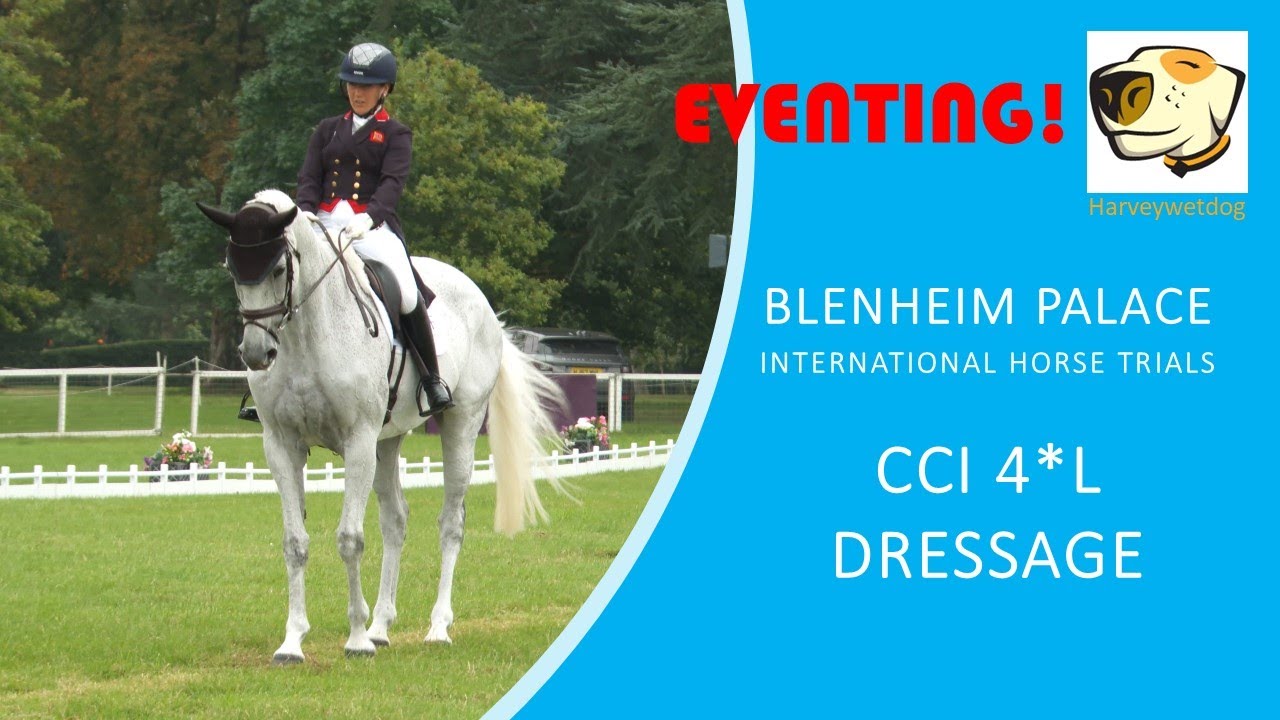 Laura Collett and Hester Blenheim Palace International Horse Trials CCI 4*L Dressage #eventing