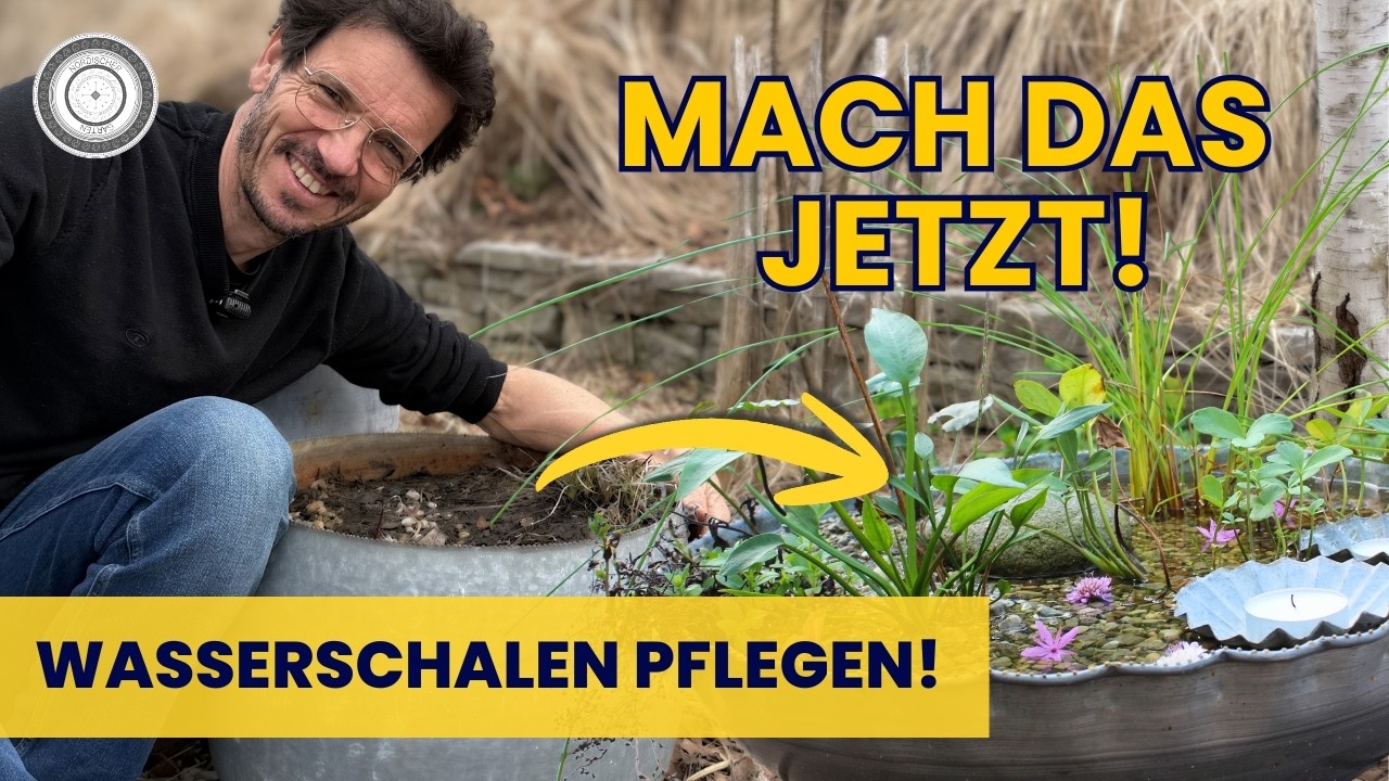für Garten und Balkon - Paradies Wasserschale