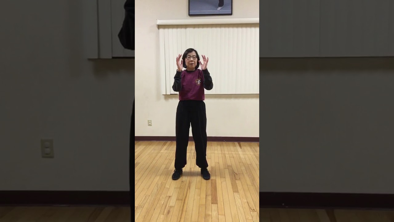 Beginners Part One thru Grasp the Sparrows Tail Left/Ward Off