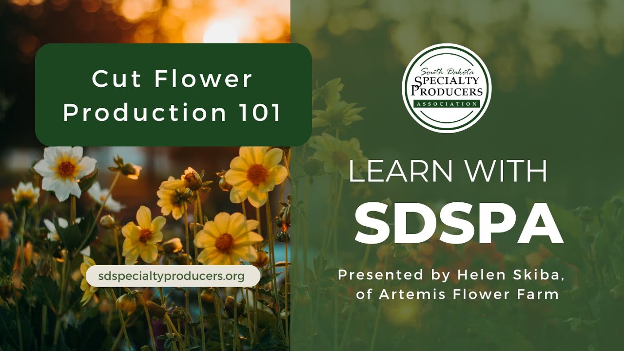 Cut Flower Production 101 with Helen Skiba