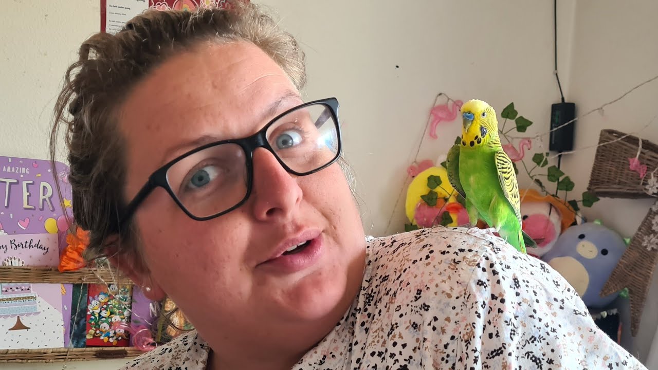 Nadia hjælper Sofia med at gøre undulaten Pjuske Tam🐦😅🥰