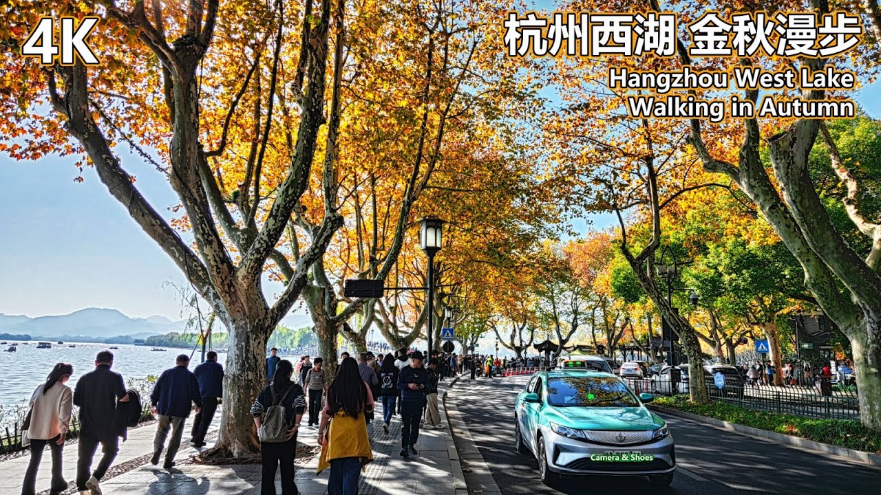 4K Hangzhou West Lake, Golden Autumn Moments | Wulin Road, Fengqi Road, Beishan Street | 杭州西湖 金秋时分