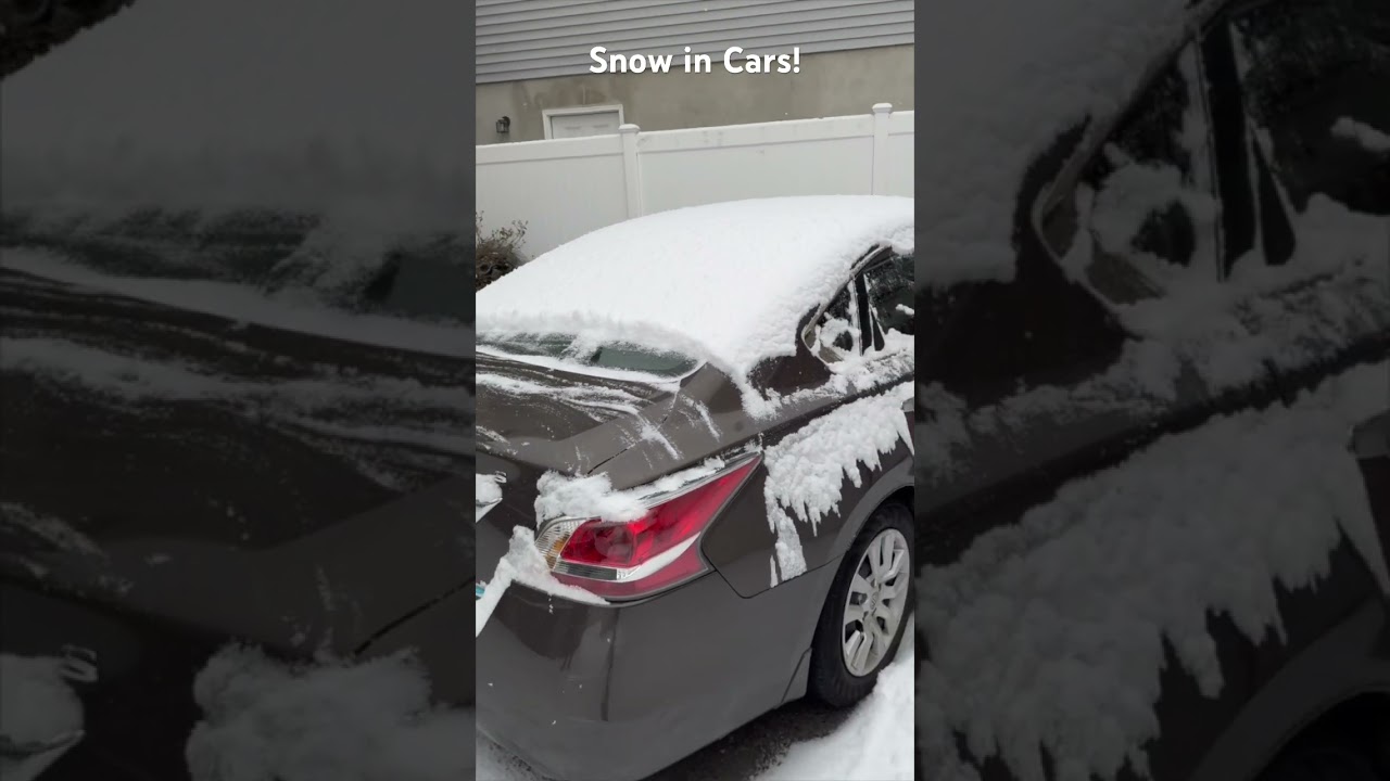 Winter Wonderland Wheels - Cars Blanketed in Snow Spectacle!