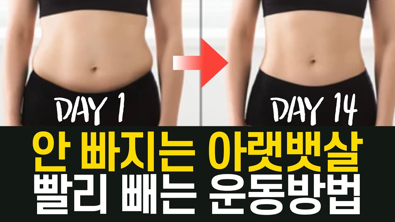 안 빠지는 아랫뱃살 빼는 최고의 운동 | 무조건 빠지는 아랫배 복근 홈트레이닝 (자극 대박, 효과는 더 대박)