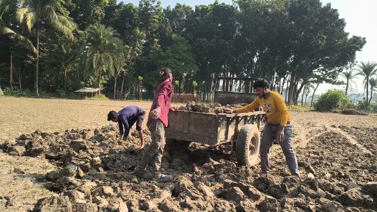 মাটি কেটে জমি চাষ যোগ্য করা হচ্ছে। 