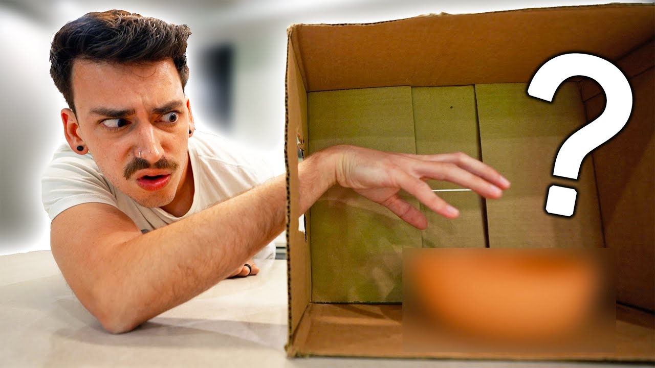 WHAT'S IN THE BOX CHALLENGE!