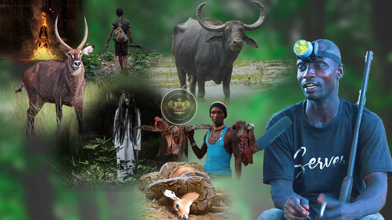 Incredible Hunting Mysteries:Man Comes Face to Face with Chimpanzee Human Witches Dwarve and Spirits
