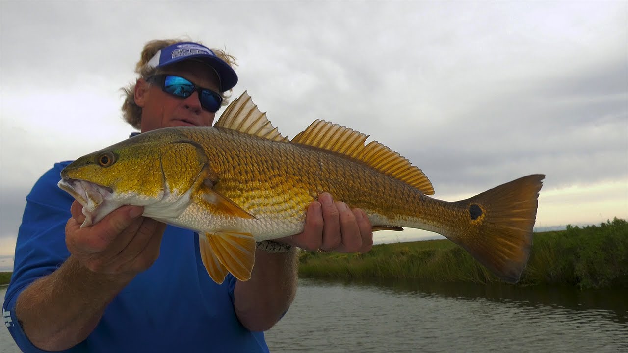 Delacroix Louisiana Inshore Sight Fishing for Redfish