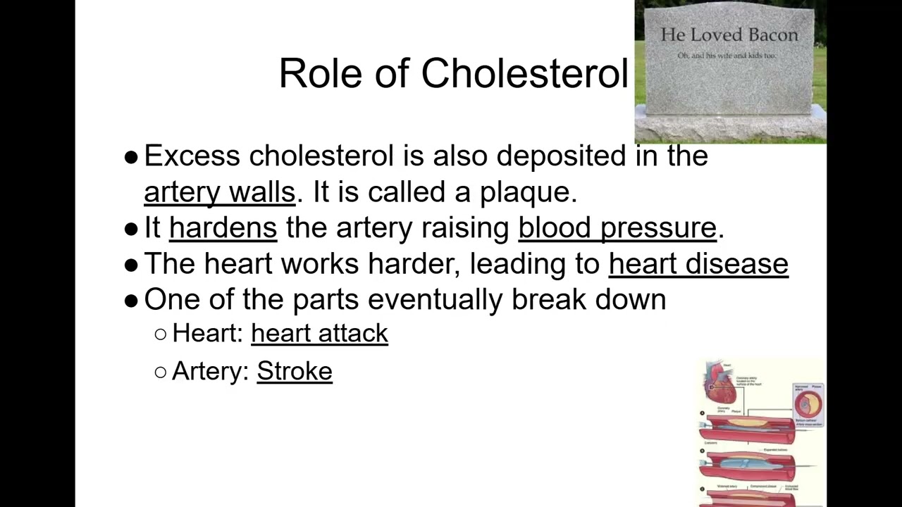 Food Science: Lipids Pt. 2